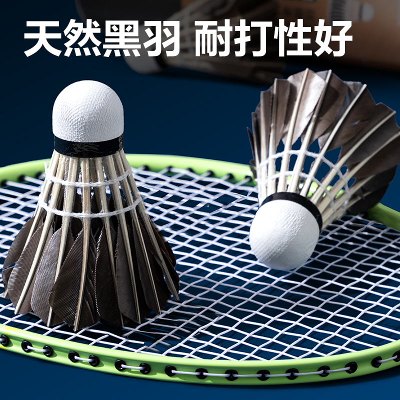安格耐特FH180-6羽毛球-黑羽(6只/筒)(黑)(筒)