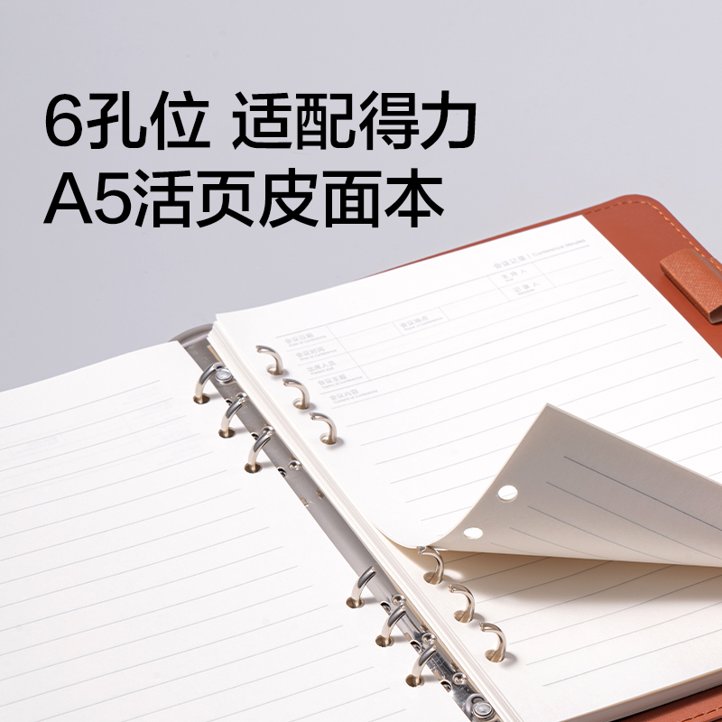 纵横BP30商务活页替芯A5-100张(会议记录)(本)