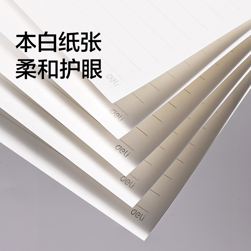 纵横BP30商务活页替芯A5-100张(会议记录)(本)