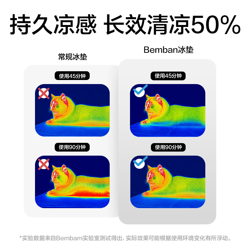 纵横Bembam_BM606_30x40cm固体凝胶冰垫(蓝)(包)