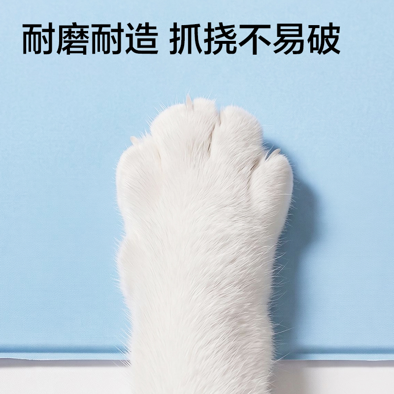 纵横Bembam_BM607_40x50cm固体凝胶冰垫(蓝)(包)
