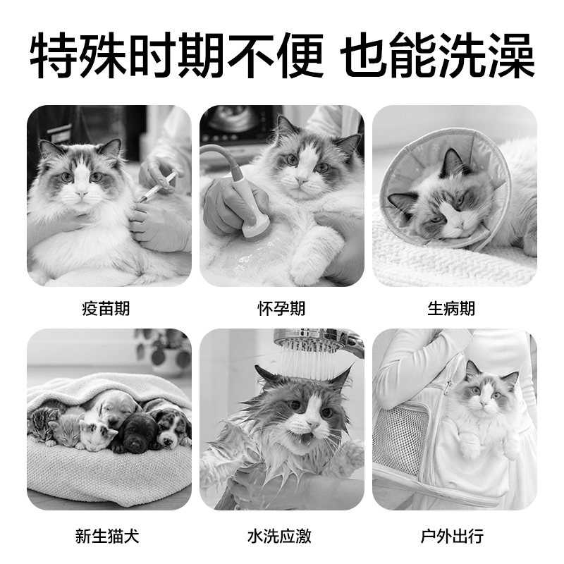 纵横Bembam_BM104_10片装宠物加厚免洗手套(混)(包)