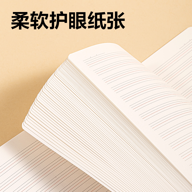 纵横FA460牛盾牛皮纸缝线本(英语)(本)