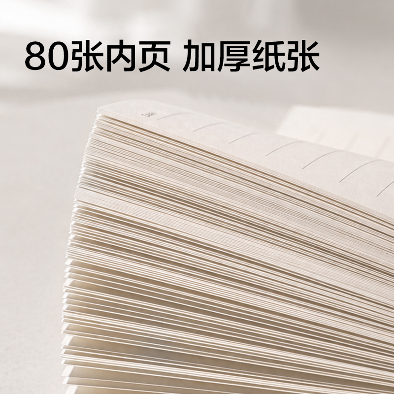 纵横BP660-B6鎏光皮面本10mm行距80张(棕)(本)