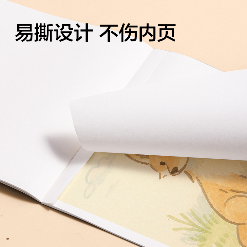 纵横NNBE25牛皮图画本-210*290mm-25页(牛皮)(本)