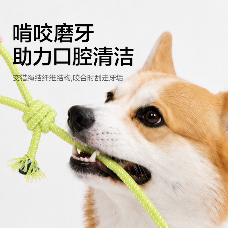 纵横Bembam_BM801_耐咬解闷绳结玩具5件套(混)(包)