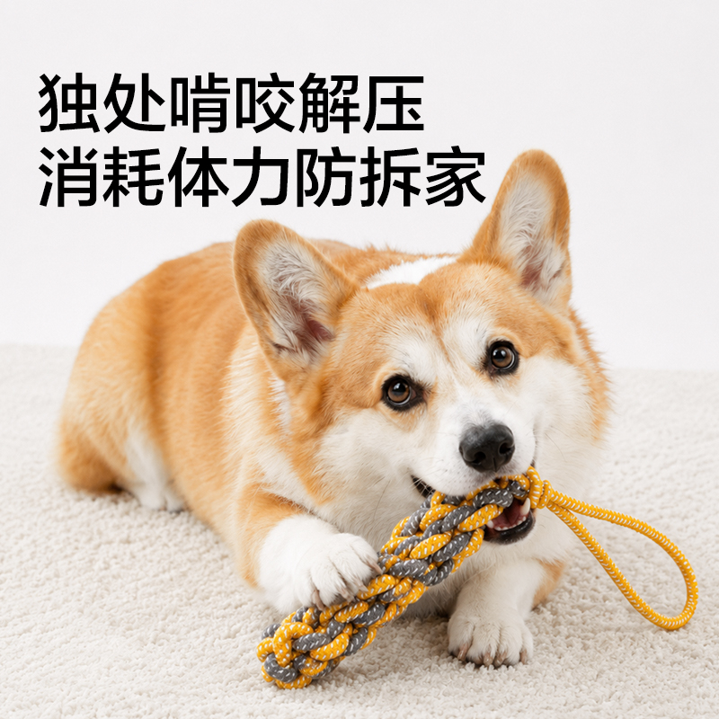 纵横Bembam_BM801_耐咬解闷绳结玩具5件套(混)(包)