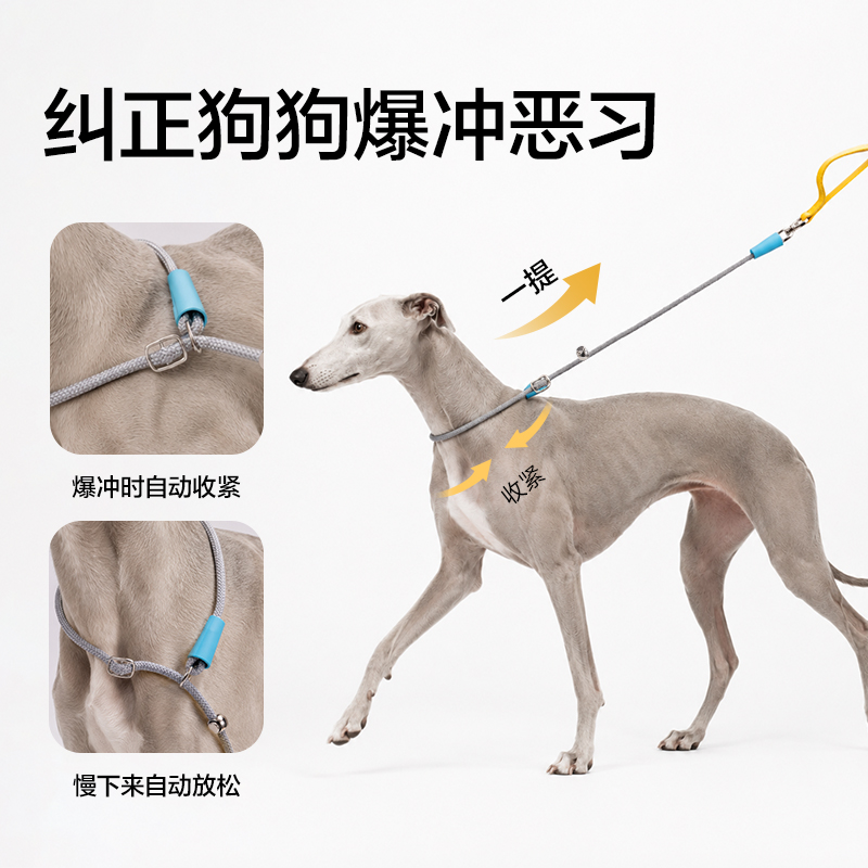 纵横Bembam_BM504_1.5m标准款宠物P绳(橙)(个)