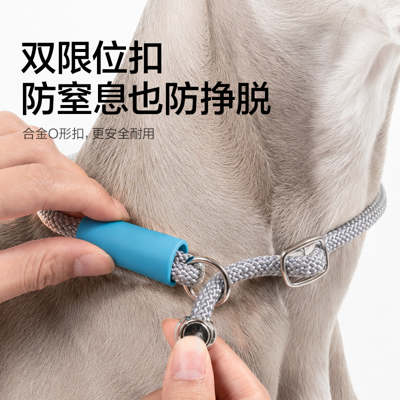 纵横Bembam_BM504_1.5m标准款宠物P绳(橙)(个)