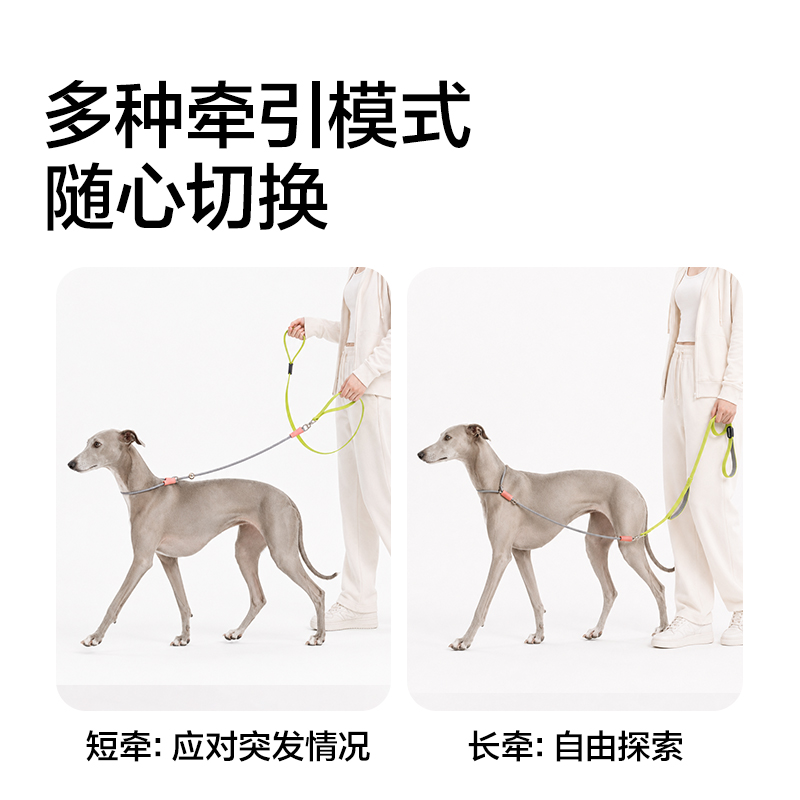 纵横Bembam_BM504_1.5m标准款宠物P绳(橙)(个)