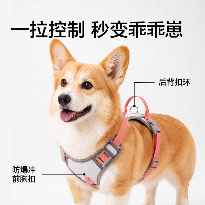 纵横Bembam_BM508_M码H型胸背牵引绳(灰)(个)