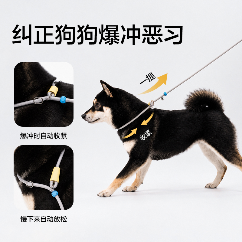 纵横Bembam_BM503_1.5m基础款宠物P绳(橙)(个)