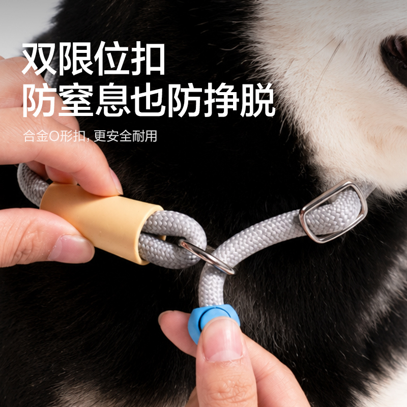 纵横Bembam_BM503_1.5m基础款宠物P绳(蓝)(个)