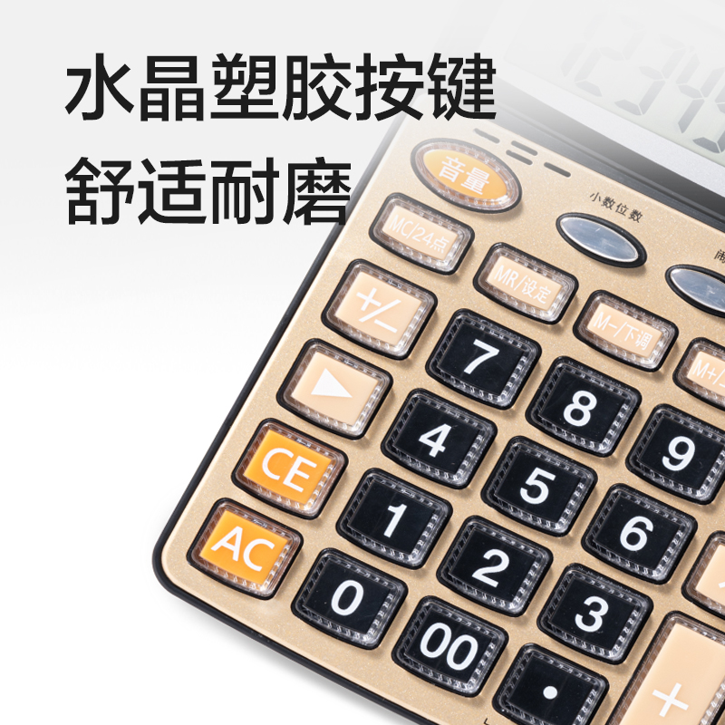 纵横TE230语音计算器(黑色)(台)