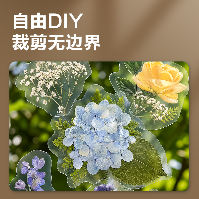 纵横GQ786冷裱膜(双面)(透明)(包)
