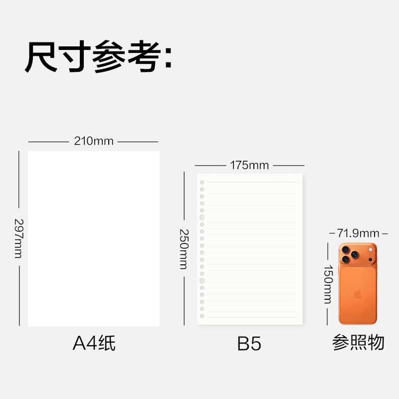 纵横BP52-B5软皮活页皮面本100张(棕咖)(本)